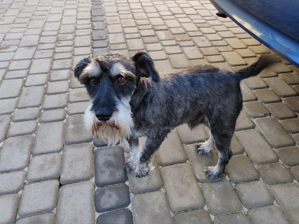 OnePlus 6T jest tylko ewolucją. I to bardzo delikatną... 30 oneplus 6t foto