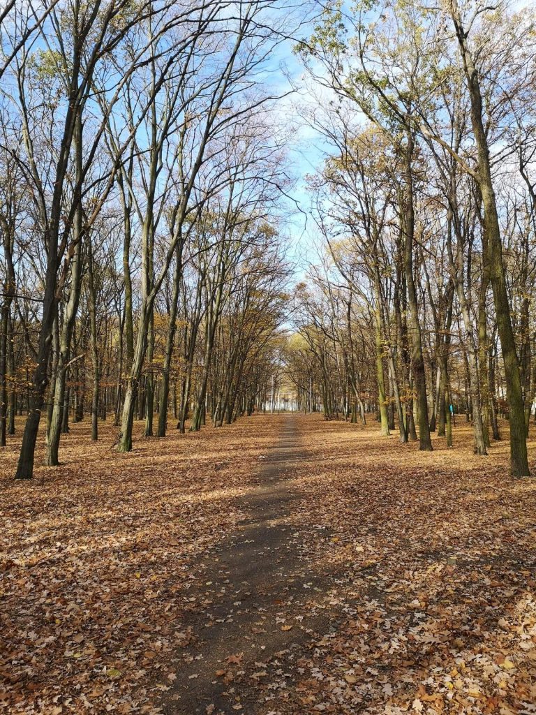 Huawei Mate 20 Pro vs Huawei P20 Pro. Pojedynek gigantów #1 48 Huawei Mate 20 Pro vs Huawei P20 Pro. Pojedynek gigantów #1