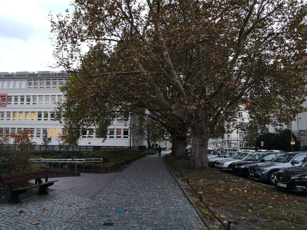 Huawei Mate 20 Pro vs Huawei P20 Pro. Pojedynek gigantów #1 45 Huawei Mate 20 Pro vs Huawei P20 Pro. Pojedynek gigantów #1