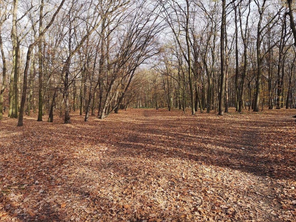 Huawei Mate 20 Pro vs Huawei P20 Pro. Pojedynek gigantów #1 41 Huawei Mate 20 Pro vs Huawei P20 Pro. Pojedynek gigantów #1