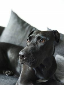 Recenzja Sharp Aquos S2, bardzo ciekawego bezramkowca 35 sharp aquos s2 zdjęcie