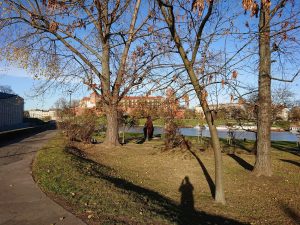 Multimedialny flagowiec czyli recenzja Sony XZ3 32 sony xz3 10