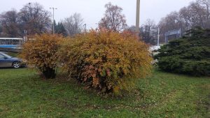 Recenzja Xiaomi Mi 5s, flagowca w świetnej cenie 22 Recenzja Xiaomi Mi 5s, flagowca w świetnej cenie