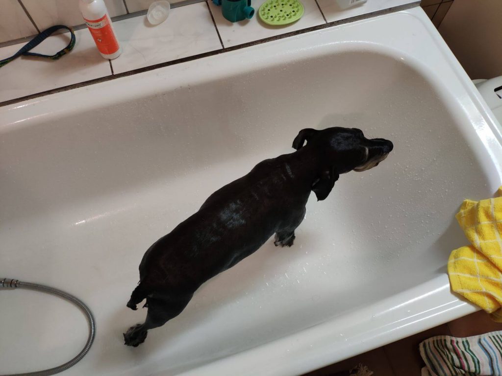 Recenzja Xiaomi Mi 8 - przy nim producent się nie popisał 23 Recenzja Xiaomi Mi 8 - przy nim producent się nie popisał