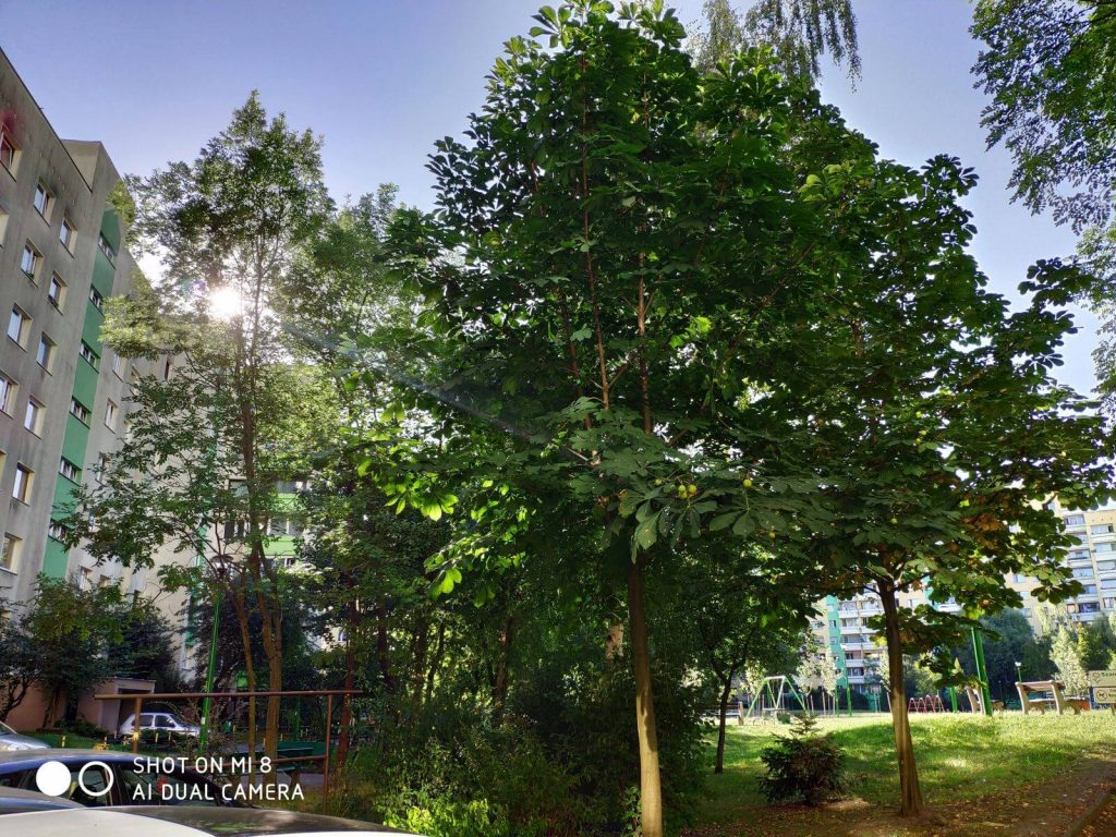 Recenzja Xiaomi Mi 8 - przy nim producent się nie popisał 24 Recenzja Xiaomi Mi 8 - przy nim producent się nie popisał