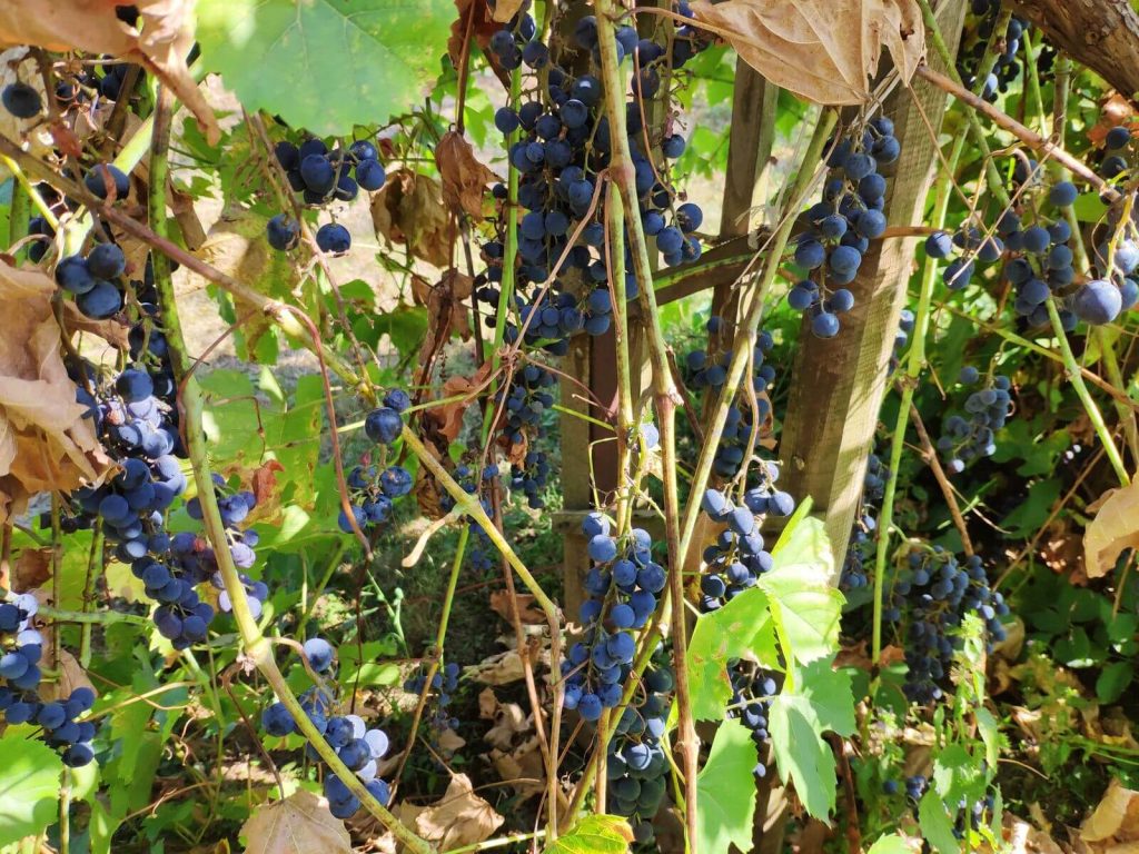 Recenzja Xiaomi Mi 8 - przy nim producent się nie popisał 32 Recenzja Xiaomi Mi 8 - przy nim producent się nie popisał