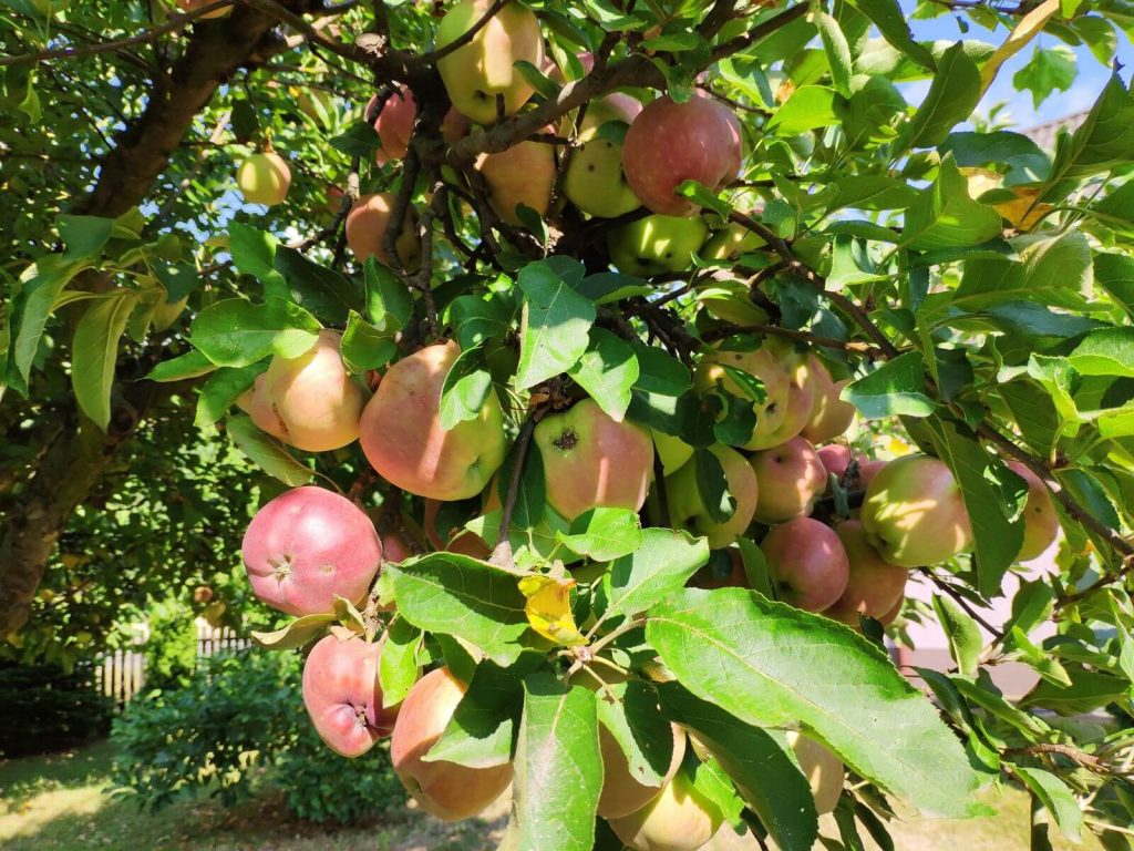 Recenzja Xiaomi Mi 8 - przy nim producent się nie popisał 33 Recenzja Xiaomi Mi 8 - przy nim producent się nie popisał