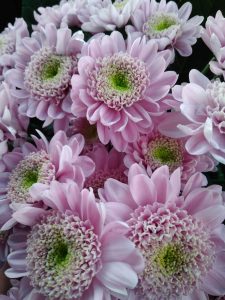 Recenzja Xiaomi Redmi 4 Prime - budżetowca o świetnej specyfikacji 22 Recenzja Xiaomi Redmi 4 Prime - budżetowca o świetnej specyfikacji