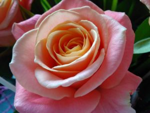 Recenzja Xiaomi Redmi 4 Prime - budżetowca o świetnej specyfikacji 32 Recenzja Xiaomi Redmi 4 Prime - budżetowca o świetnej specyfikacji