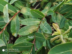 Recenzja Xiaomi Mi 6X. Sprawdziliśmy, jak sprawuje się Mi A2 na MIUI! 28 xiaomi mi 6x zdjęcie