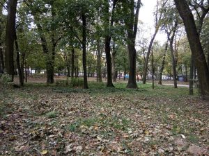 Recenzja Xiaomi Redmi 6A - całkiem niezłego budżetowca 33 xiaomi redmi 6a zdjęcie