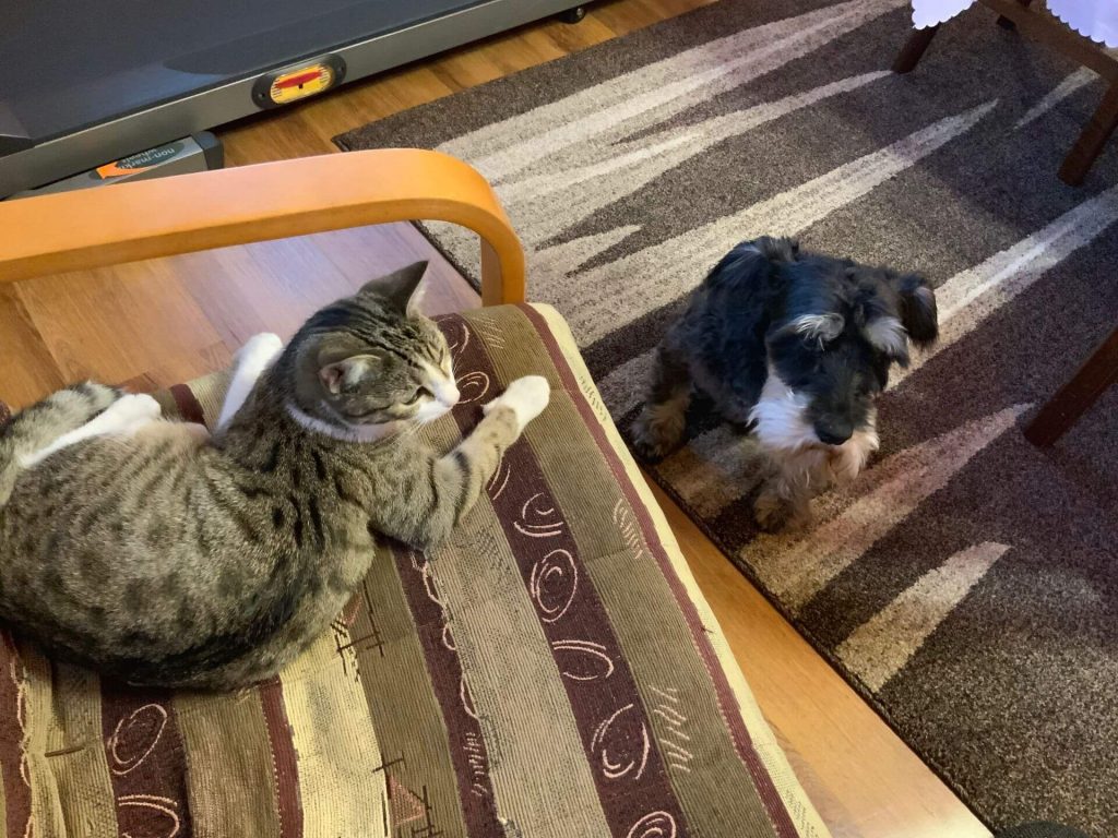 iPad Pro 2018 to mocny sprzęt, choć nie znalazłem dla niego zastosowania 23 iPad Pro 2018 to mocny sprzęt, choć nie znalazłem dla niego zastosowania