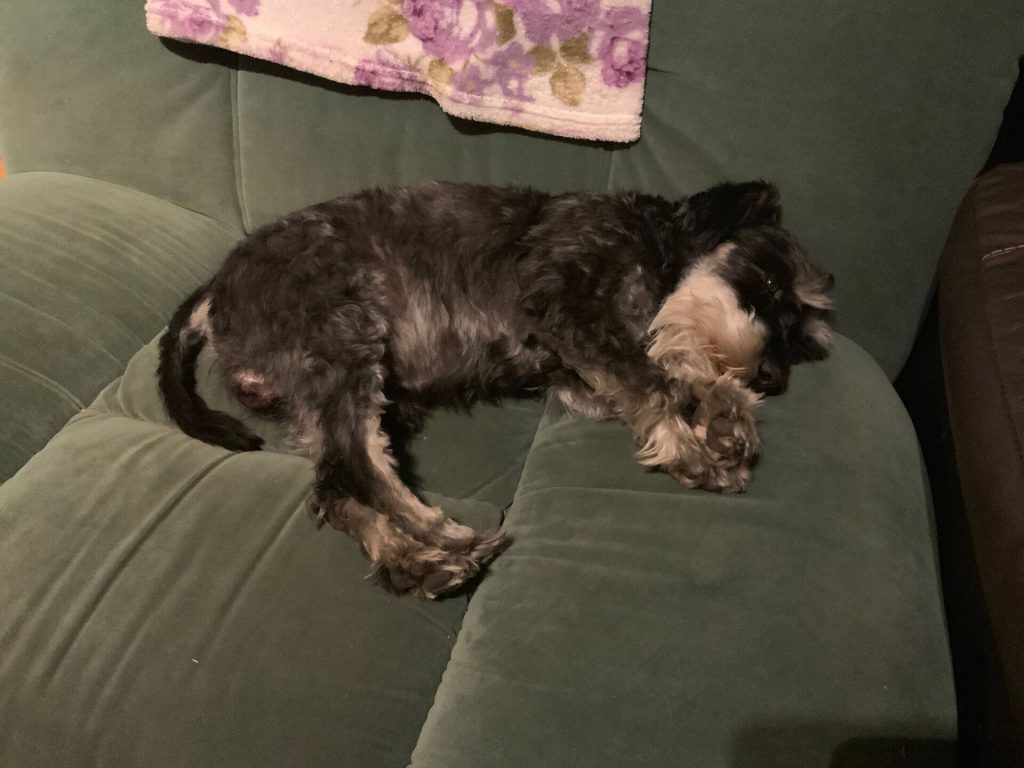 iPad Pro 2018 to mocny sprzęt, choć nie znalazłem dla niego zastosowania 30 iPad Pro 2018 to mocny sprzęt, choć nie znalazłem dla niego zastosowania