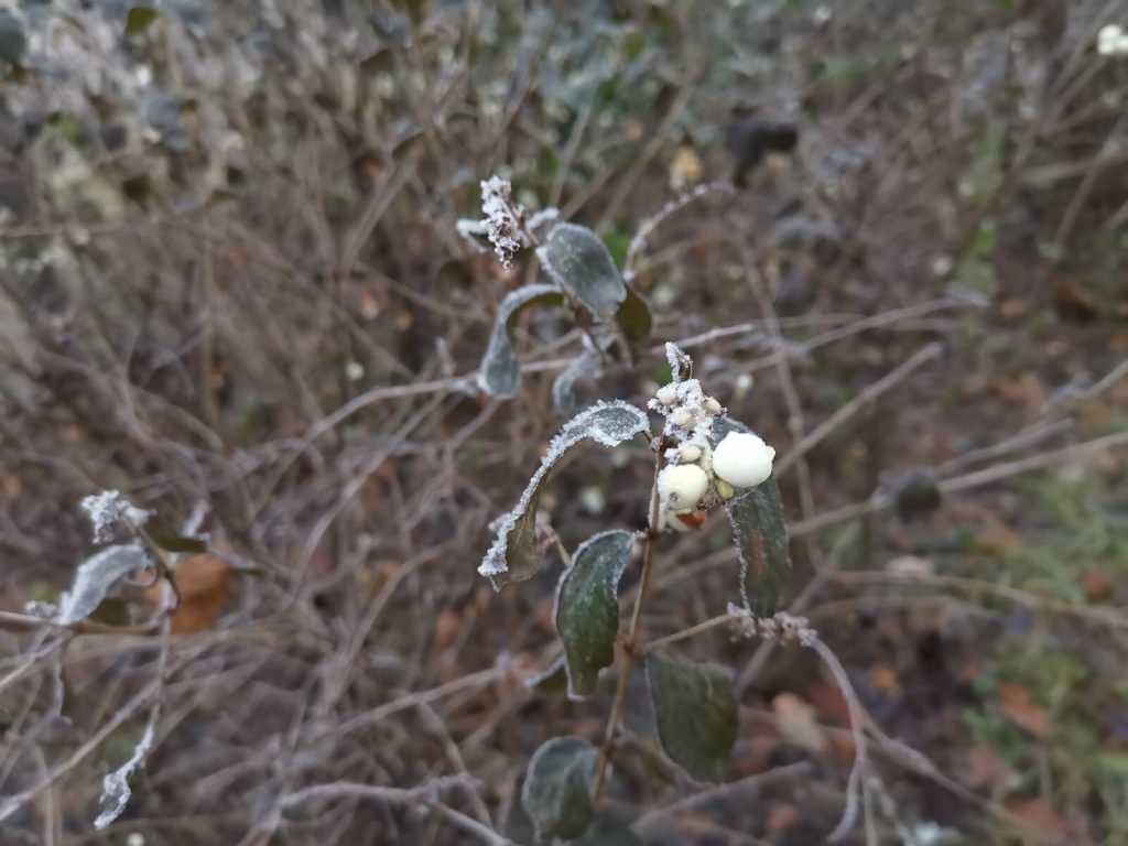 Recenzja Huawei Mate 20, świetnego flagowca pod każdym kątem! 32 huawei mate 20 zdjęcie