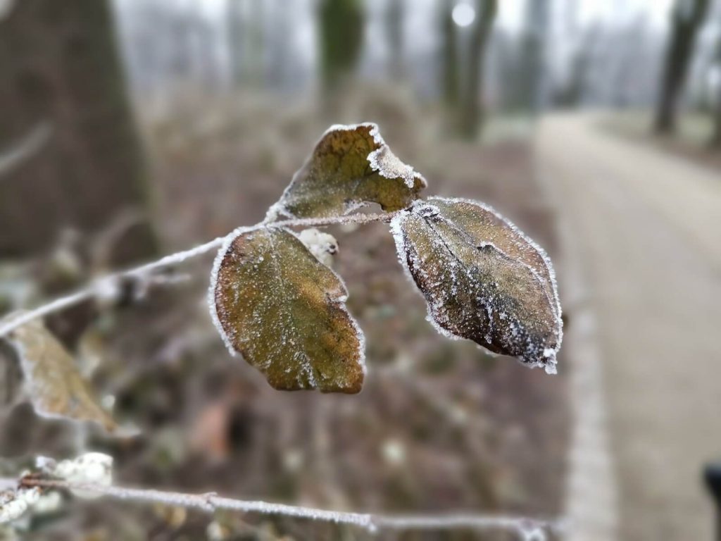 Recenzja Huawei Mate 20, świetnego flagowca pod każdym kątem! 31 huawei mate 20 zdjęcie