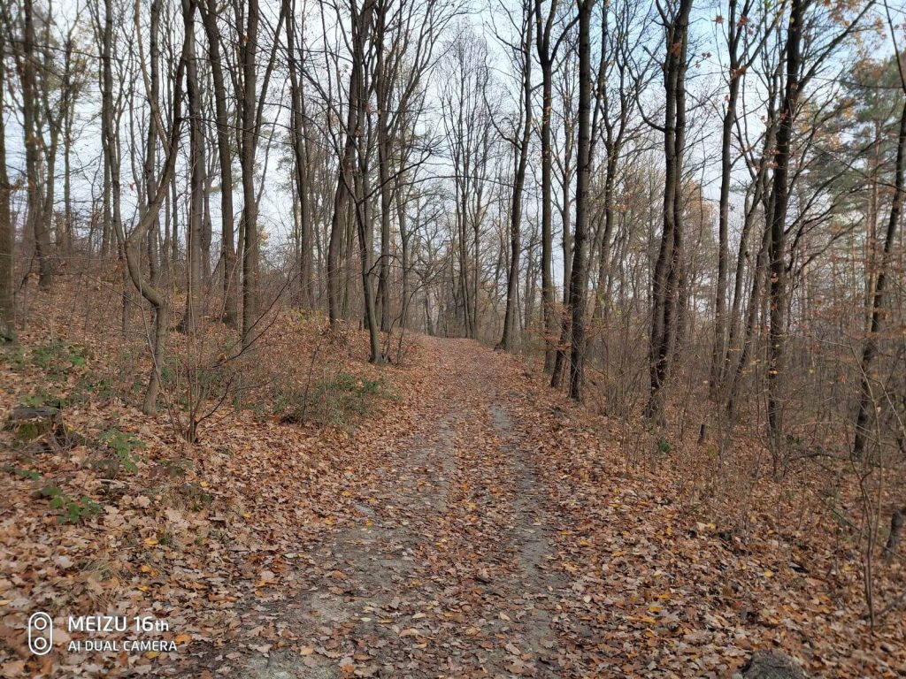 Meizu 16th pokazuje, że marka jeszcze może wrócić 28 Meizu 16th pokazuje, że marka jeszcze może wrócić