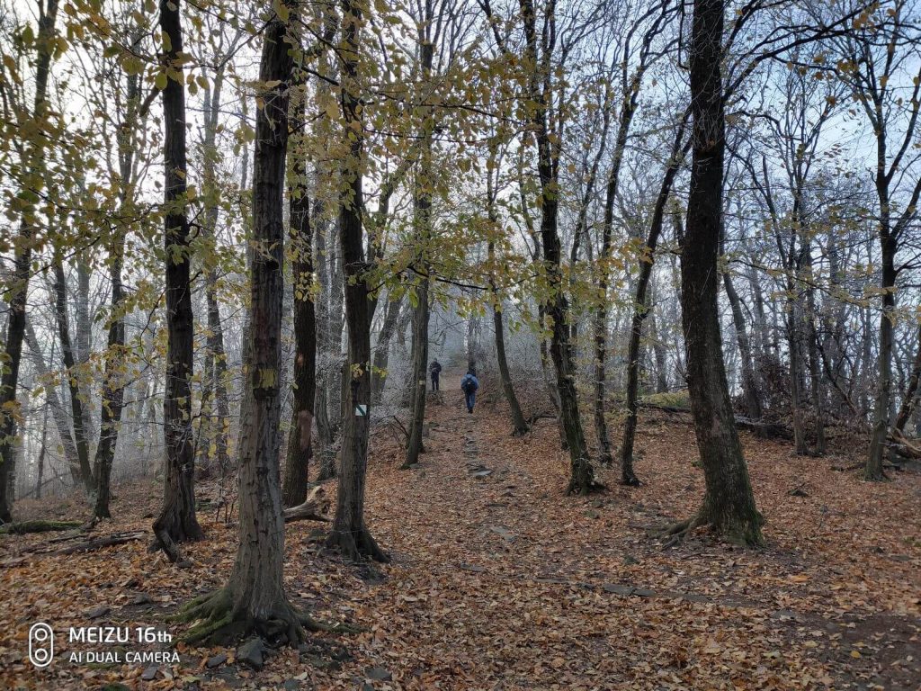 Meizu 16th pokazuje, że marka jeszcze może wrócić 30 Meizu 16th pokazuje, że marka jeszcze może wrócić