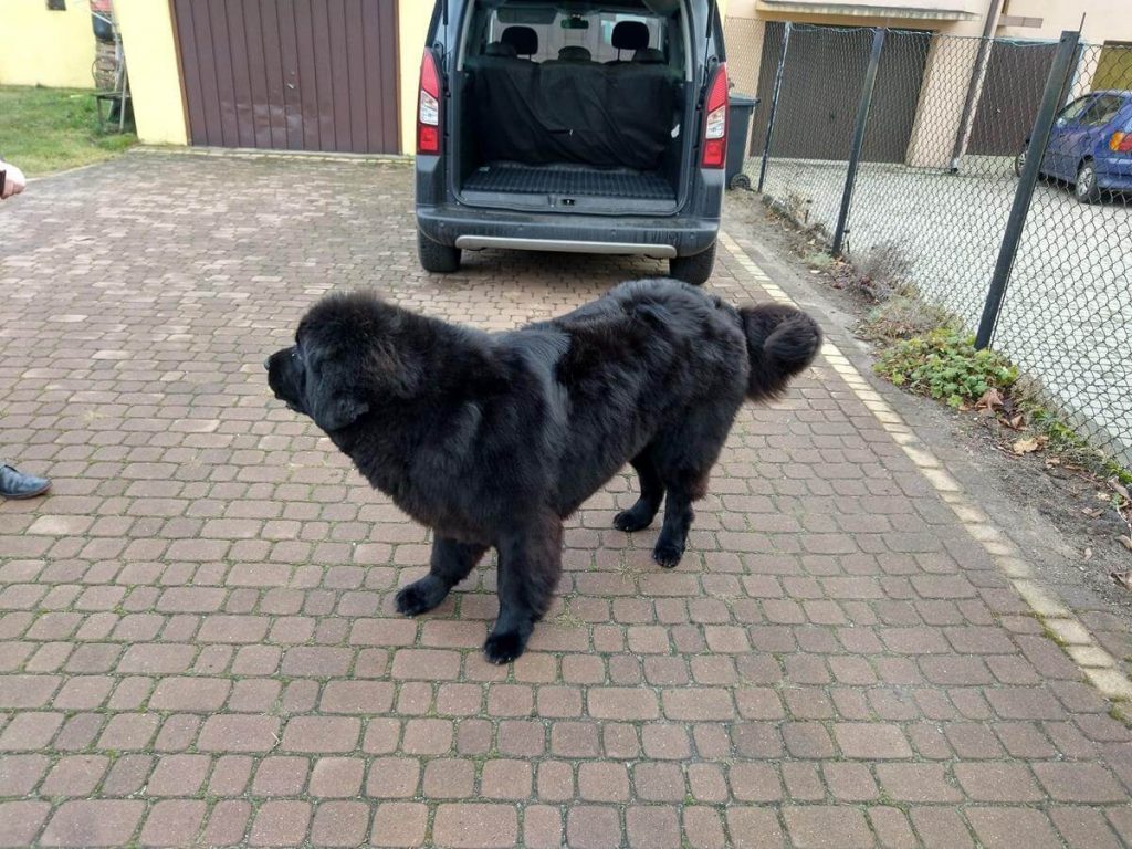 Średniak, którego można pokochać pomimo jego wad. Nokia 7.1 - recenzja 30 nokia 7 (9)