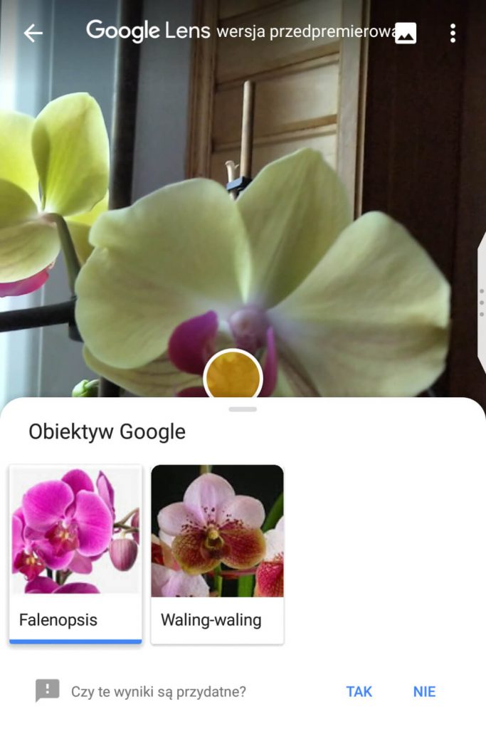 Recenzja BlackBerry KEY2 LE - tańszej jeżynki z klawiaturą 56 BlackBerry KEY2 LE