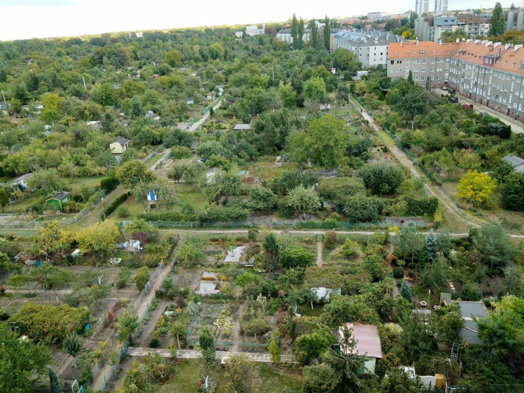 Nubia Red Magic to telefon nie tylko dla graczy, chociaż obudowa świeci 25 Nubia Red Magic to telefon nie tylko dla graczy, chociaż obudowa świeci