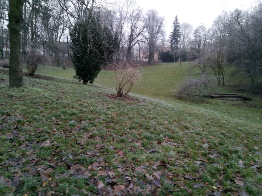 Recenzja Cubot H3 - typowego, chińskiego budżetowca 24 cubot h3 zdjęcie