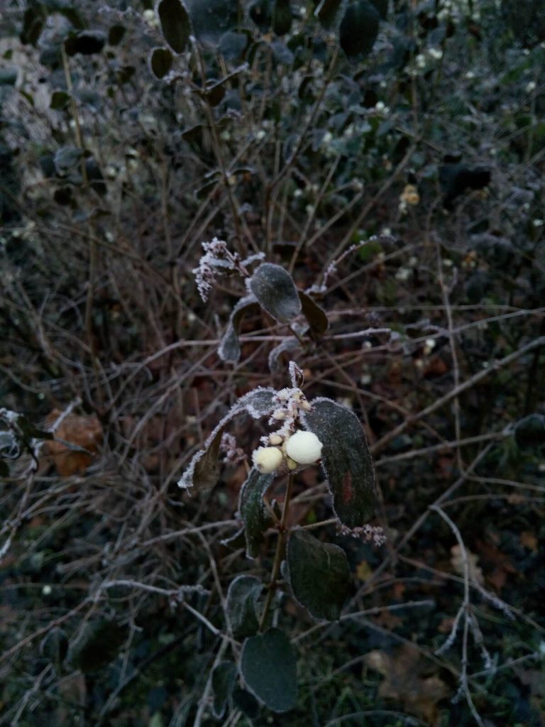 Recenzja Cubot H3 - typowego, chińskiego budżetowca 27 cubot h3 zdjęcie