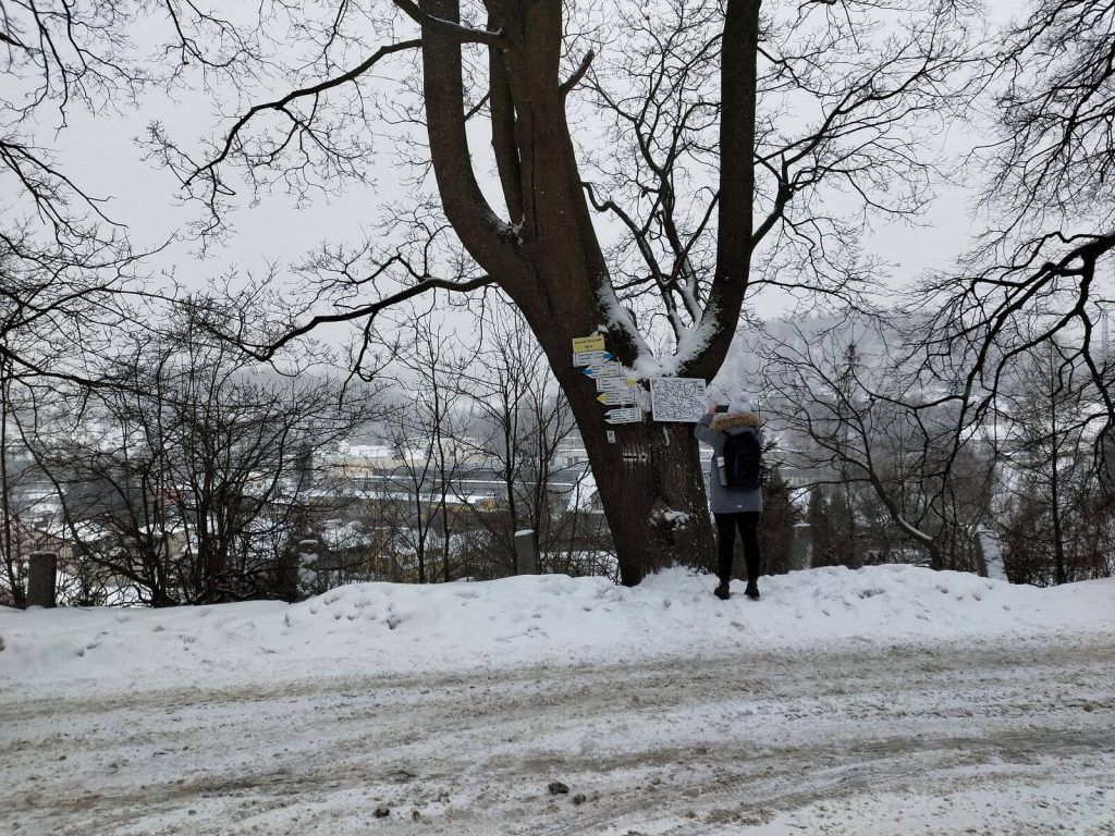 OPPO RX17 Neo to najtańszy telefon ze skanerem linii papilarnych w ekranie 29 OPPO RX17 Neo to najtańszy telefon ze skanerem linii papilarnych w ekranie