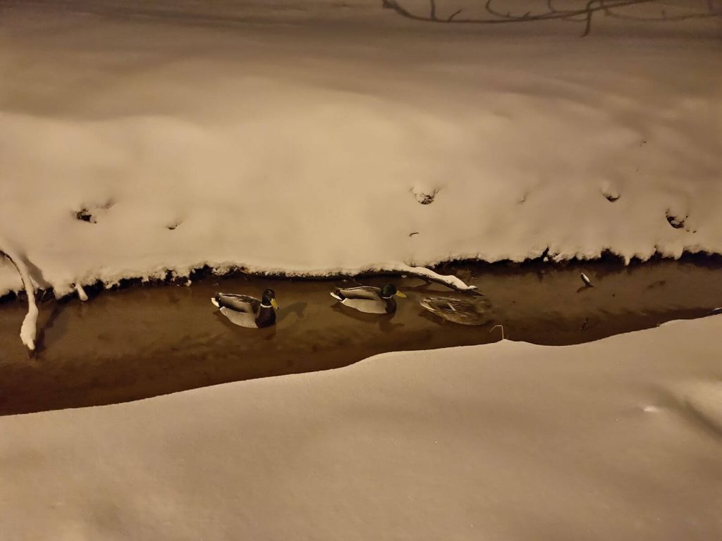 OPPO RX17 Pro to świetny telefon, tylko ta cena... 31 OPPO RX17 Pro to świetny telefon, tylko ta cena...