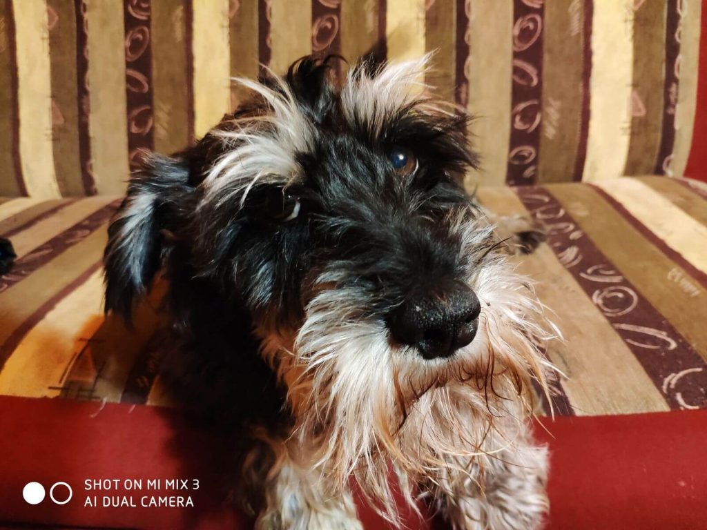 Recenzja Xiaomi Mi Mix 3 - ten telefon to kolejny krok ku bezramkowości 31 Recenzja Xiaomi Mi Mix 3 - ten telefon to kolejny krok ku bezramkowości