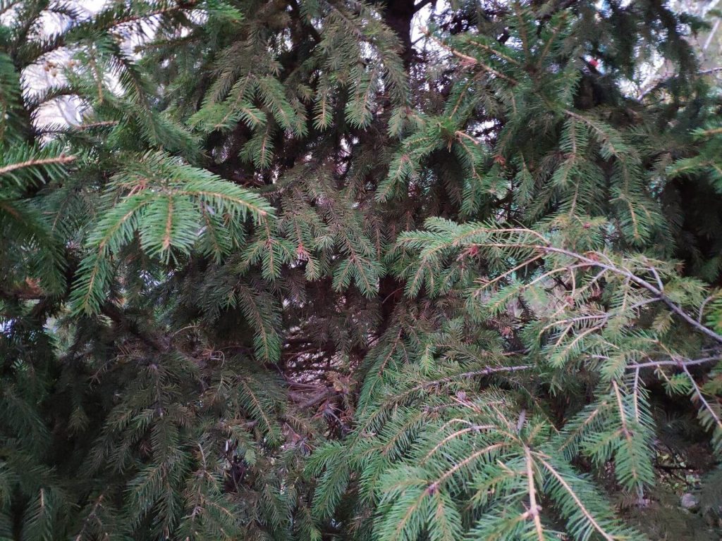 Xiaomi Mi 8 Pro: przezroczysta obudowa i świetna specyfikacja 34 Xiaomi Mi 8 Pro: przezroczysta obudowa i świetna specyfikacja