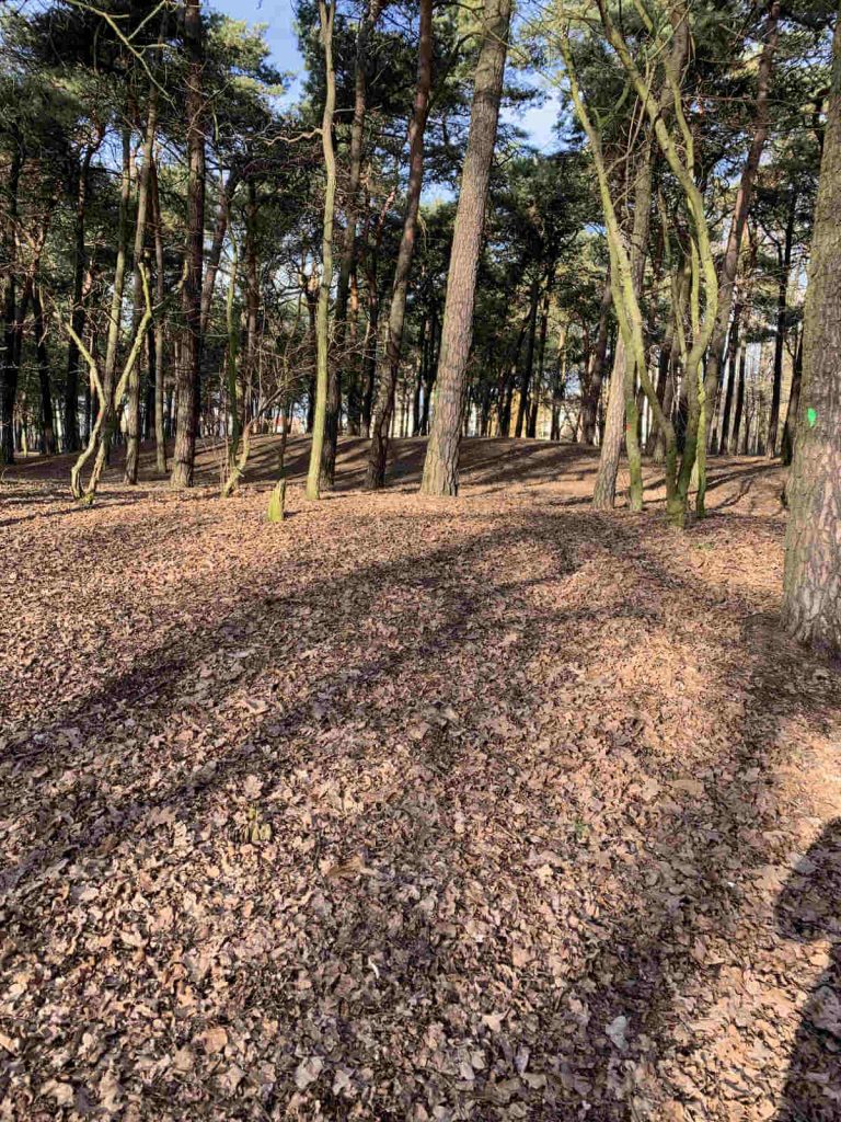 Recenzja iPhone XR - to dobry smartfon, ale nie w tej cenie 25 iPhone XR