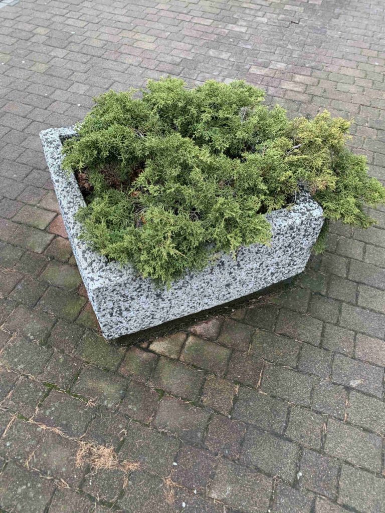 Recenzja iPhone XR - to dobry smartfon, ale nie w tej cenie 27 iPhone XR