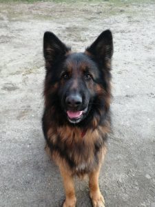 Recenzja Honor 10 Lite - porządnego telefonu z niewygórowaną ceną! 32 Honor 10 Lite