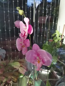 Recenzja Honor 10 Lite - porządnego telefonu z niewygórowaną ceną! 22 Honor 10 Lite