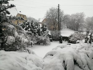 Recenzja Honor 10 Lite - porządnego telefonu z niewygórowaną ceną! 31 Honor 10 Lite