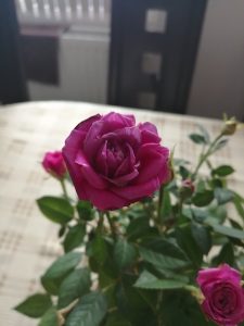 Recenzja Honor 10 Lite - porządnego telefonu z niewygórowaną ceną! 30 Honor 10 Lite