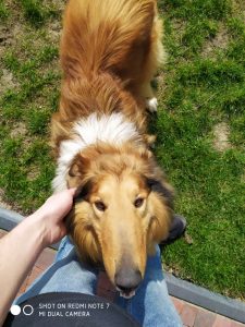 Recenzja Xiaomi Redmi Note 7 – dobry budżetowiec w świetnej cenie 41 Xiaomi Redmi Note 7