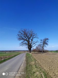 Recenzja Xiaomi Redmi Note 7 – dobry budżetowiec w świetnej cenie 43 Xiaomi Redmi Note 7