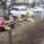 Samsung Galaxy S10+ jest świetny, choć do ideału mu brakuje 35 samsung galaxy s10 plus foto