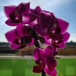 Samsung Galaxy S10+ jest świetny, choć do ideału mu brakuje 41 samsung galaxy s10 plus foto