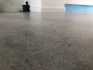 Recenzja Alfawise V8S - sam odkurza, ale inteligencji brak 18 Alfawise V8S