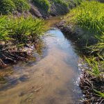 Motorola Moto G7 – recenzja zbyt drogiego średniopółkowca 22 Motorola G7