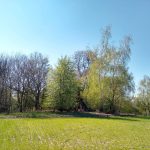 Motorola Moto G7 – recenzja zbyt drogiego średniopółkowca 25 Motorola G7