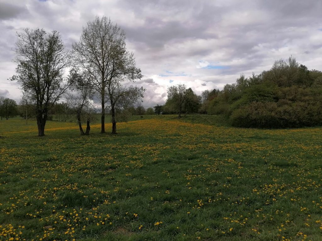 Recenzja Huawei P30 Lite, naprawdę pięknego smartfonu, który zadowoli większość użytkowników, ale jeszcze nie teraz... 35 huawei p30 lite zdjęcie