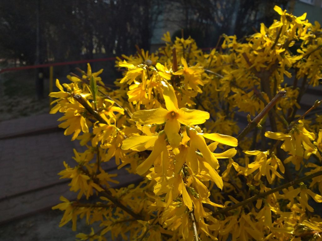 Recenzja Sony Xperia 10 - LG, przepraszam, że nazwałem G7 Fit najgorszym średniakiem 37 xperia 10