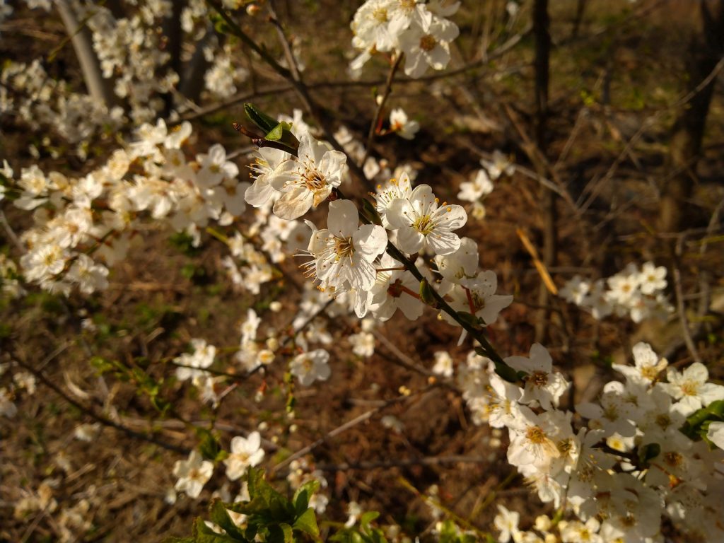 Recenzja Sony Xperia 10 - LG, przepraszam, że nazwałem G7 Fit najgorszym średniakiem 35 xperia 10