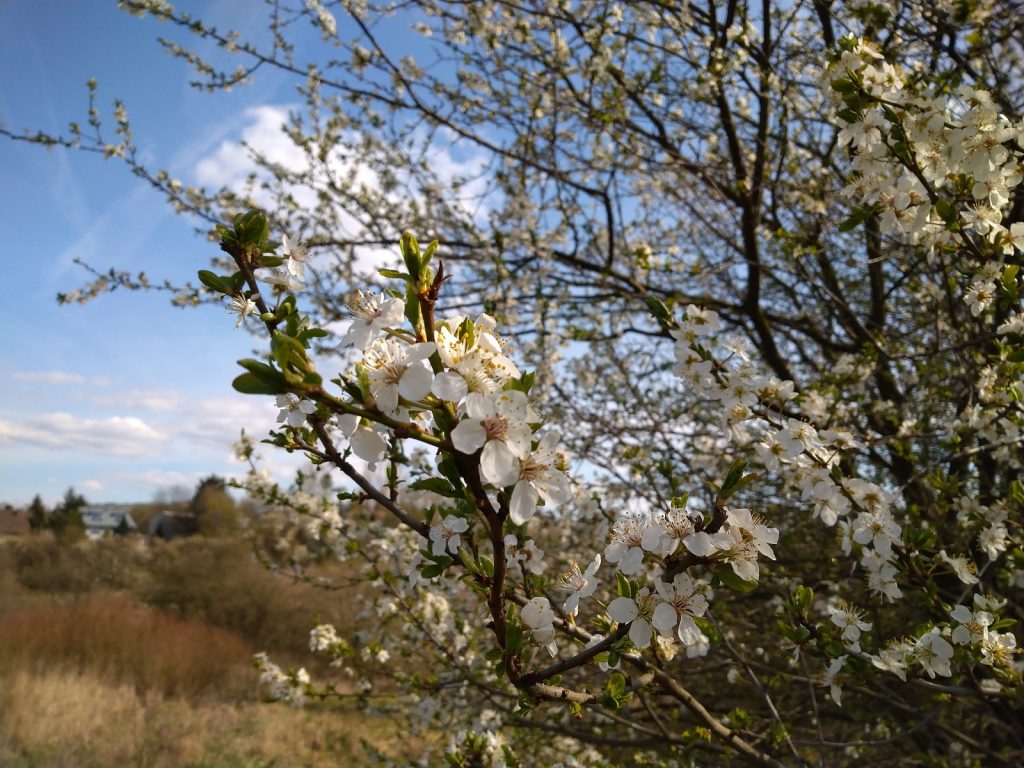 Recenzja Sony Xperia 10 - LG, przepraszam, że nazwałem G7 Fit najgorszym średniakiem 33 xperia 10