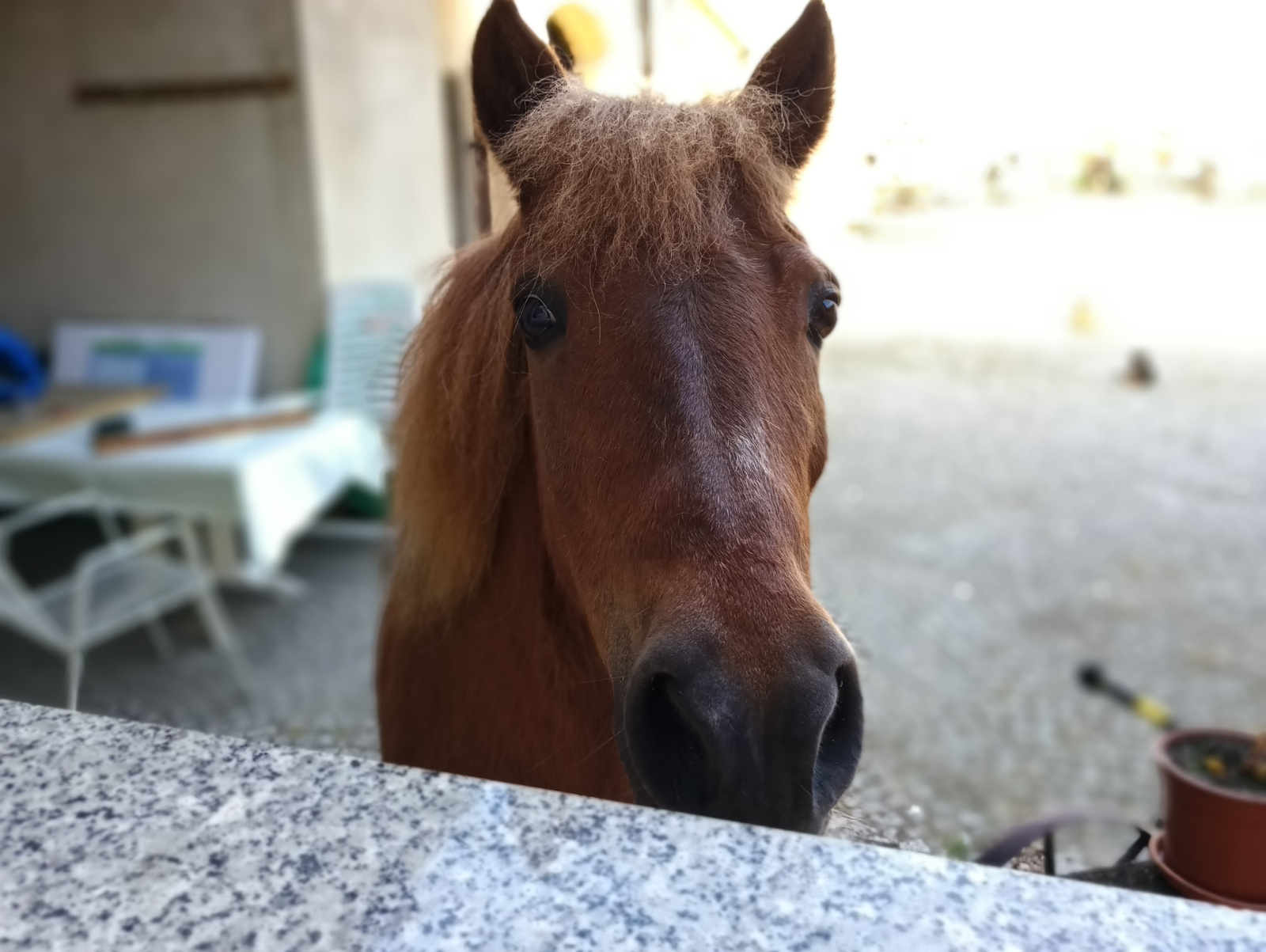 Recenzja Meizu Pro 7, telefonu z dwoma ekranami! 26 Recenzja Meizu Pro 7, telefonu z dwoma ekranami!