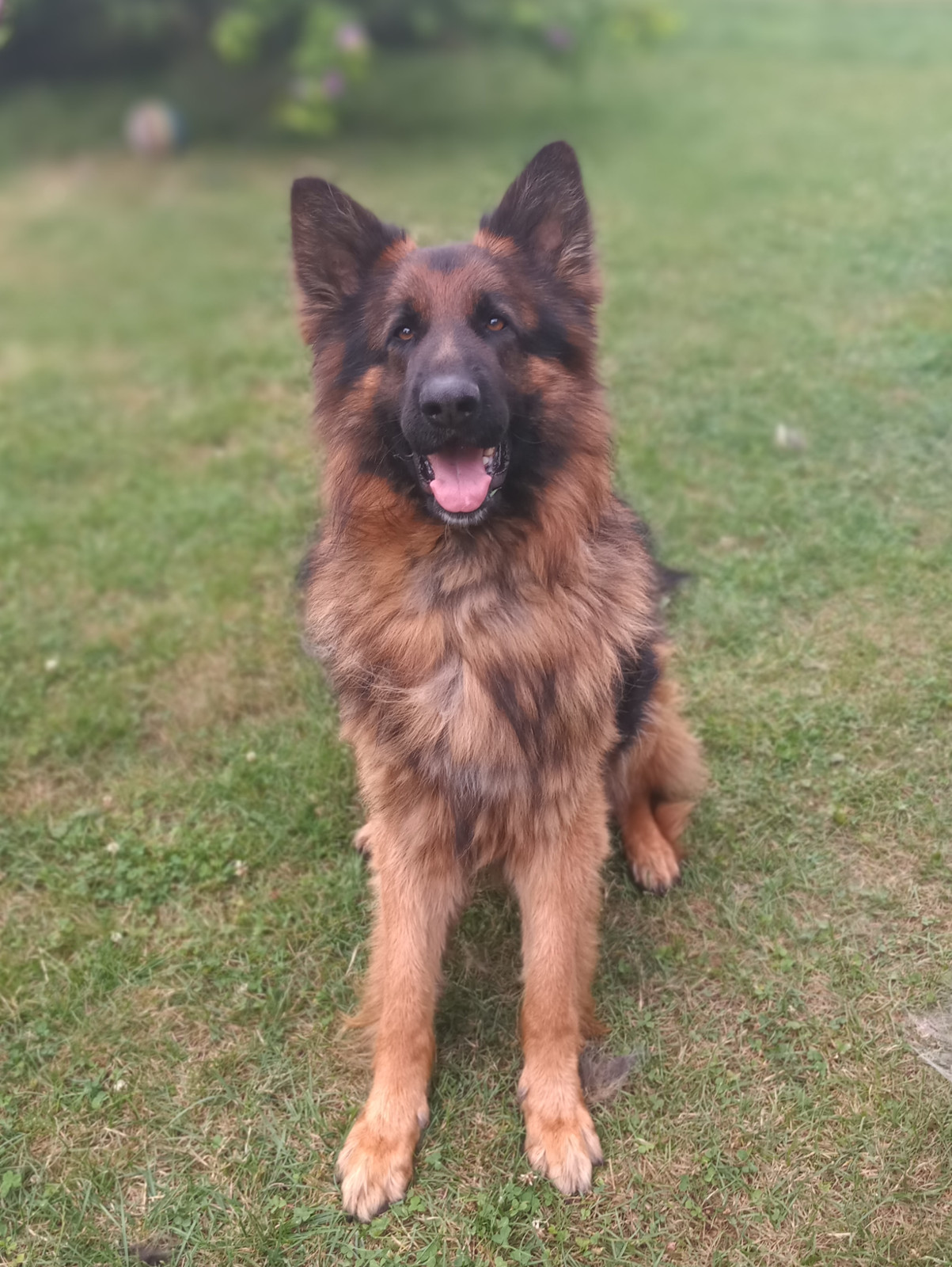 Recenzja Meizu Pro 7, telefonu z dwoma ekranami! 29 Recenzja Meizu Pro 7, telefonu z dwoma ekranami!