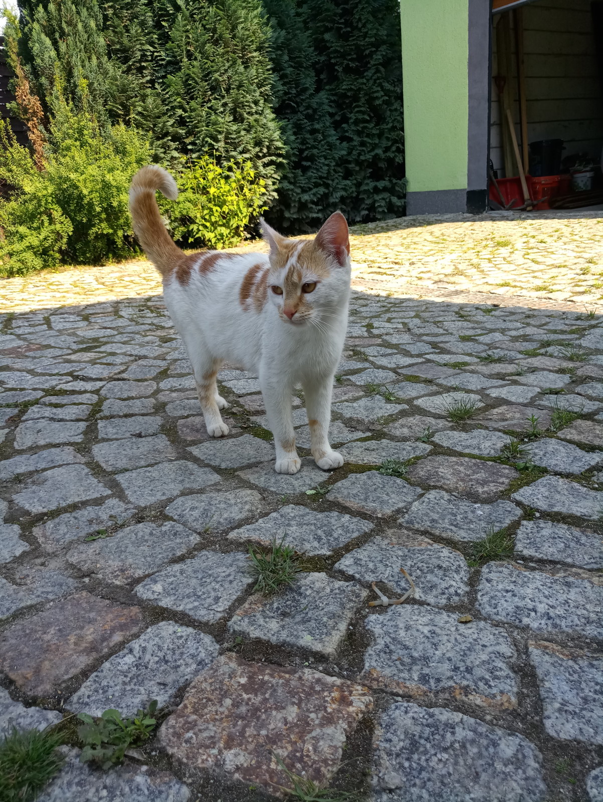 Recenzja Meizu Pro 7, telefonu z dwoma ekranami! 33 Recenzja Meizu Pro 7, telefonu z dwoma ekranami!